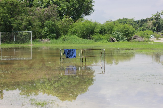 而是過於追 而是過於追