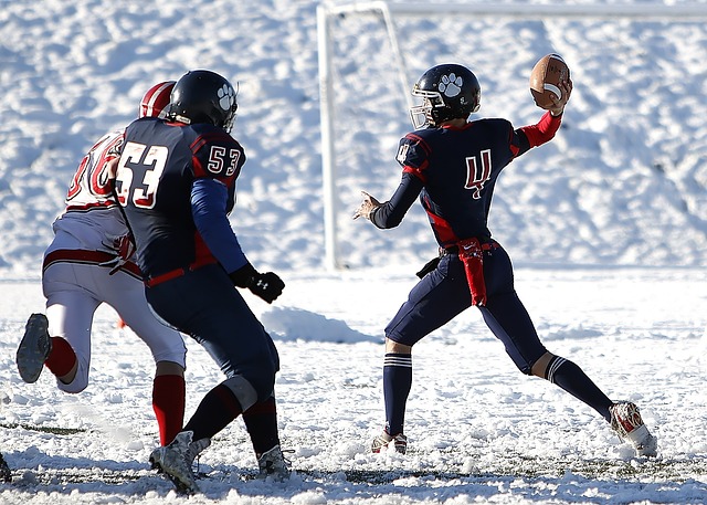 機構間的紛 機構間的紛