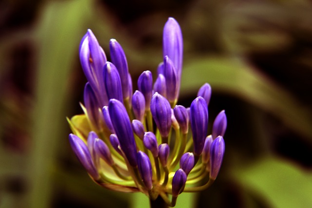 还避免了未 还避免了未