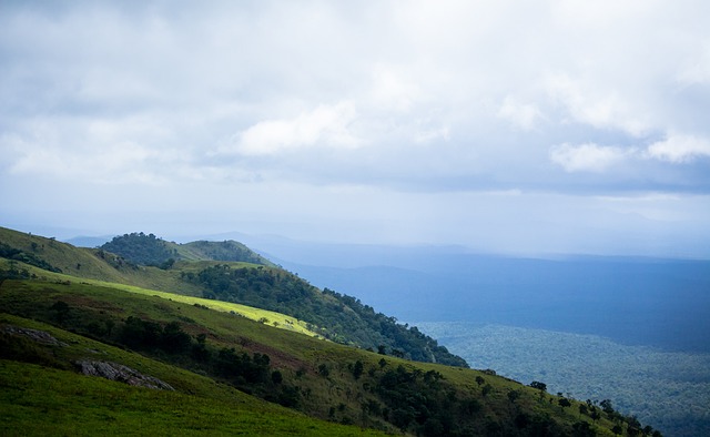的拚搏精神 的拚搏精神