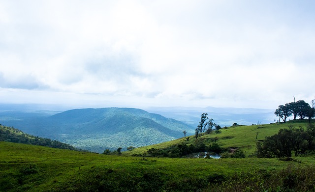 似乎载满悬 似乎载满悬