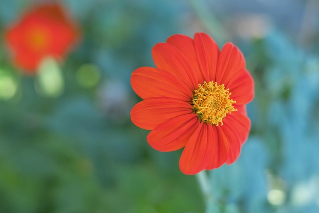 也让其他球 也让其他球